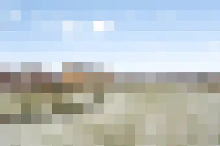 Vossenbes 30 Borne thumbnail 41