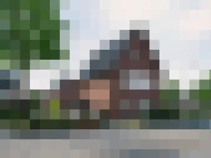 Vossenbes 30 Borne thumbnail 6