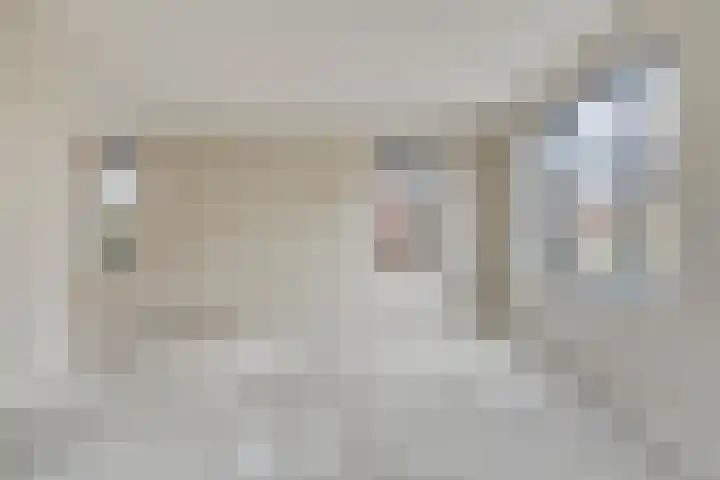 Vossenbes 30 Borne thumbnail 8