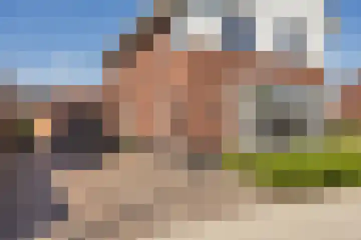 Vossenbes 33 Borne thumbnail 12