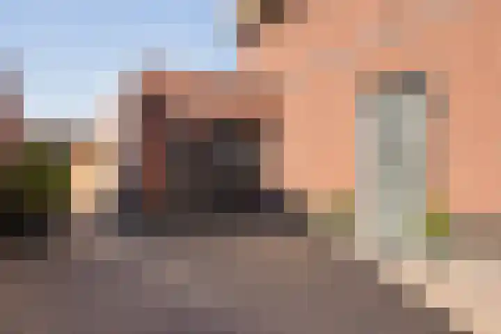 Vossenbes 33 Borne thumbnail 13