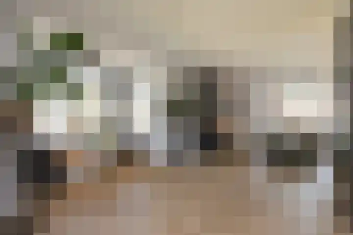 Vossenbes 33 Borne thumbnail 15