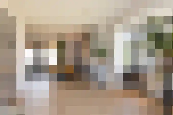 Vossenbes 33 Borne thumbnail 19