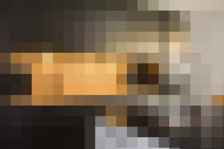 Vossenbes 33 Borne thumbnail 23