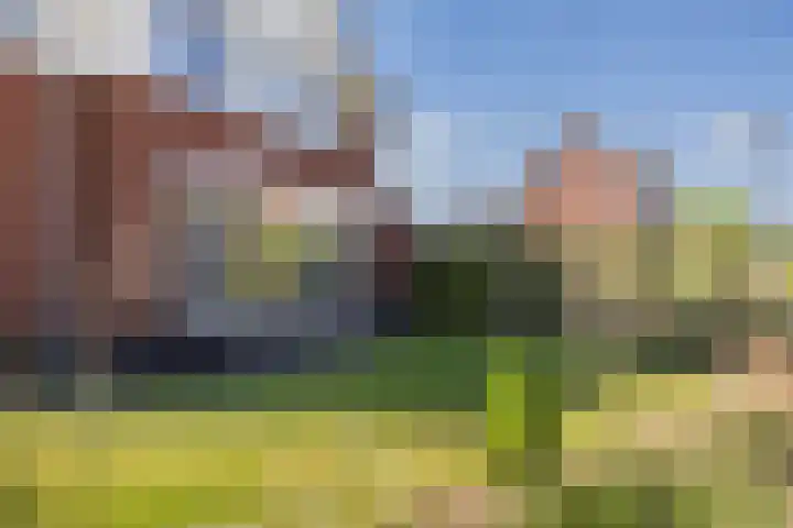 Vossenbes 33 Borne thumbnail 37