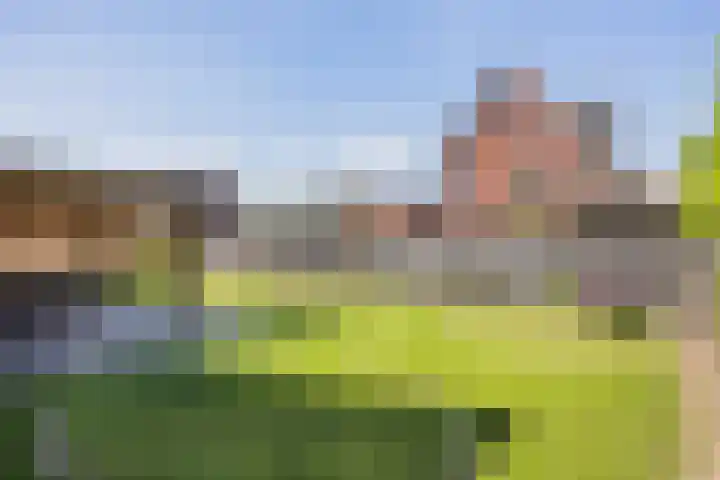 Vossenbes 33 Borne thumbnail 38
