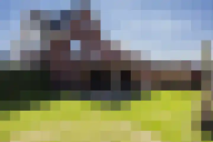 Vossenbes 33 Borne thumbnail 39