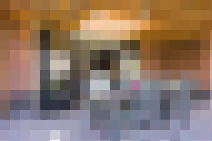 Vossenbes 33 Borne thumbnail 42