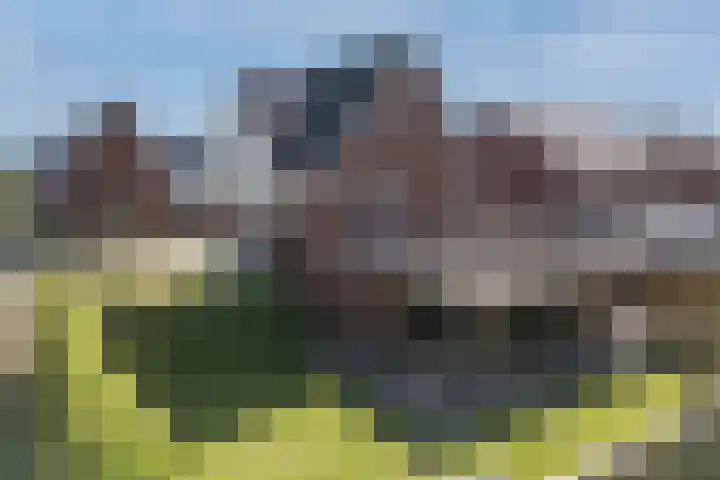 Vossenbes 33 Borne thumbnail 44