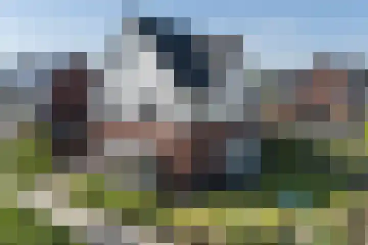 Vossenbes 33 Borne thumbnail 8