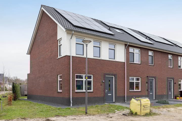 Vossenbes 35 in Borne foto