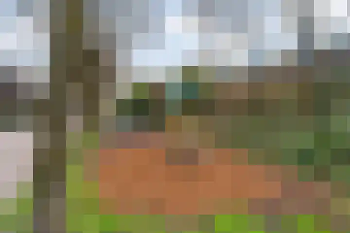 Vossenburchkade 116 Gouda thumbnail 46