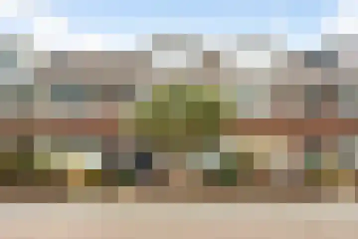 Vossenburchkade 116 Gouda thumbnail 6