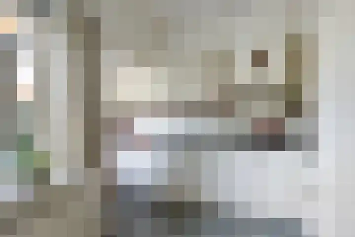 Vossenburchkade 22 Gouda thumbnail 15