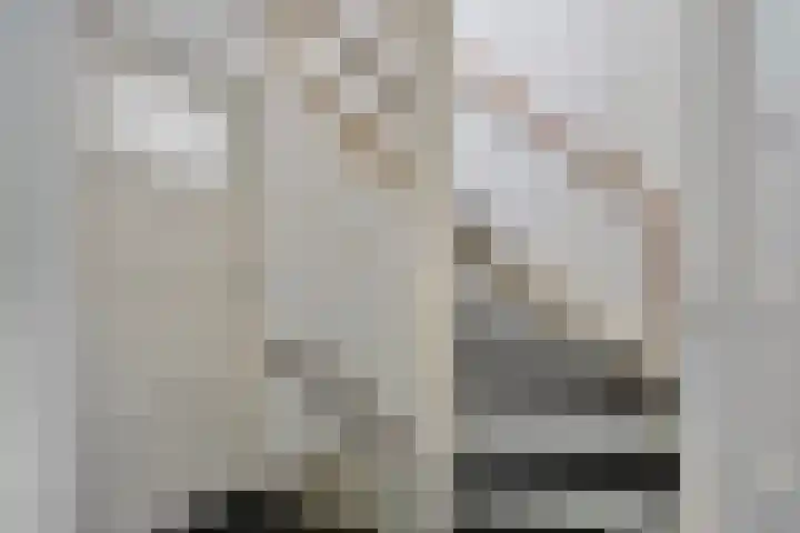 Vossenburchkade 22 Gouda thumbnail 21
