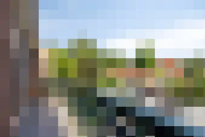 Vossenburchkade 22 Gouda thumbnail 26