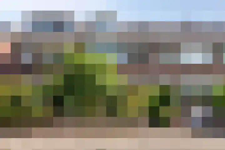 Vossenburchkade 22 Gouda thumbnail 5
