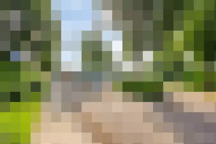 Vossenburchkade 22 Gouda thumbnail 53