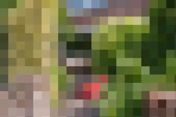 Vossenburchkade 22 Gouda thumbnail 6