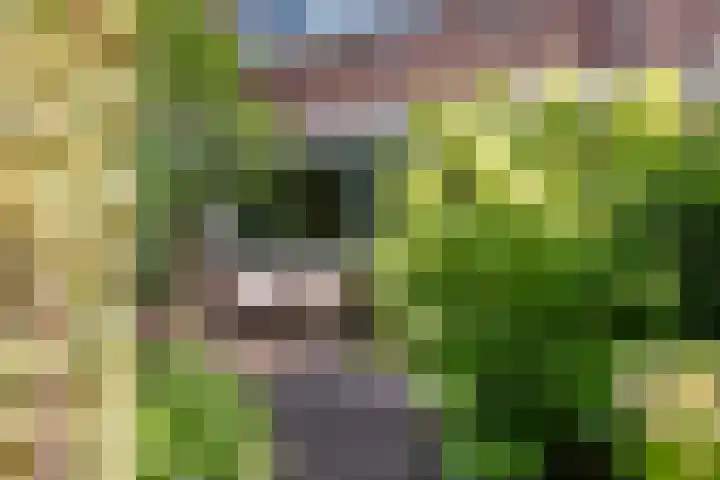 Vossenburchkade 22 Gouda thumbnail 7