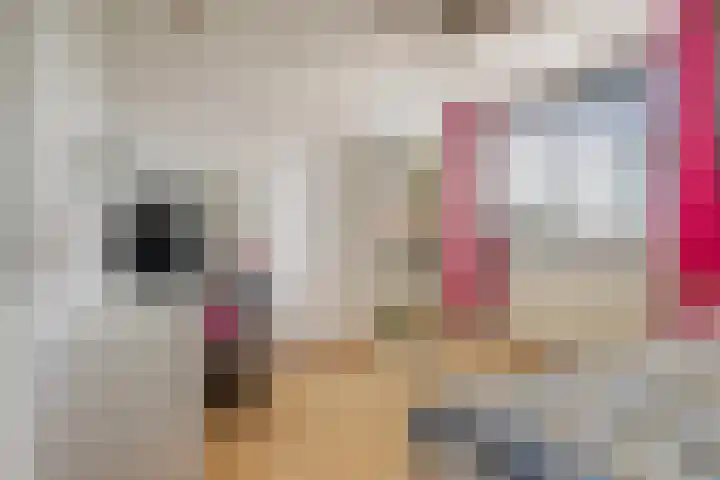 Vossenburchkade 70 Gouda thumbnail 14