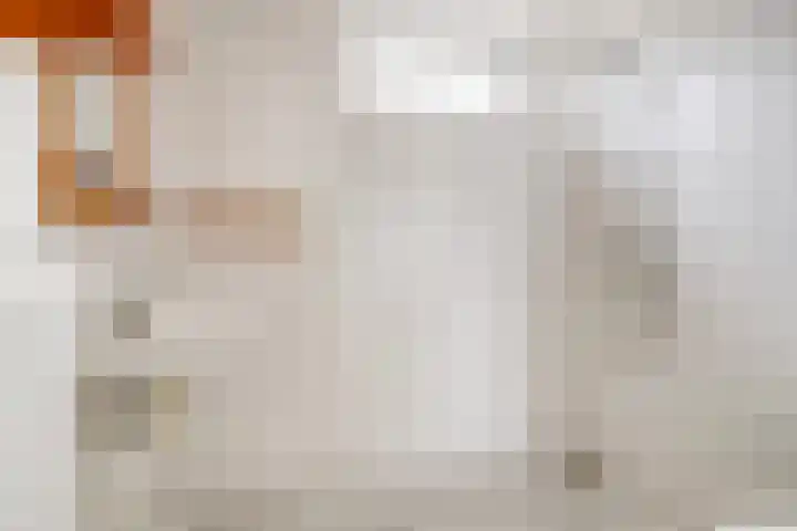 Vossenburchkade 70 Gouda thumbnail 17