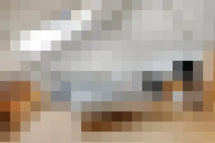 Vossenburchkade 70 Gouda thumbnail 19