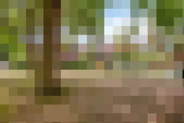 Vossenburchkade 70 Gouda thumbnail 27