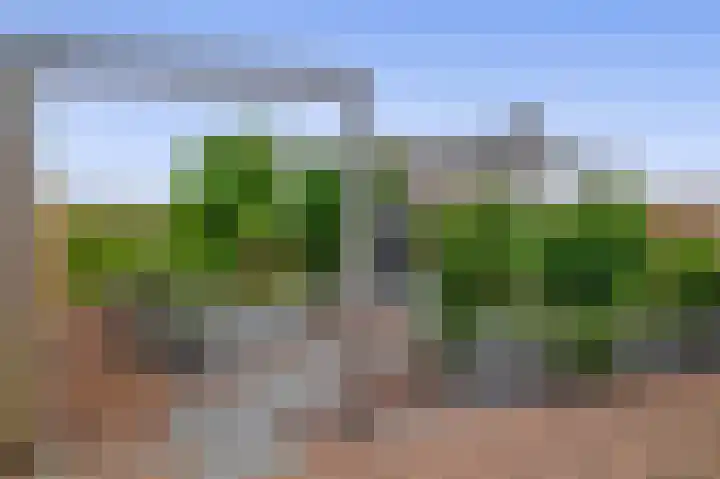 Vossenburglaan 220 Meerstad thumbnail 18