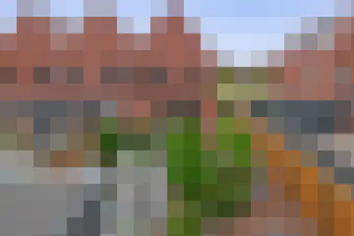Vossenburglaan 220 Meerstad thumbnail 24