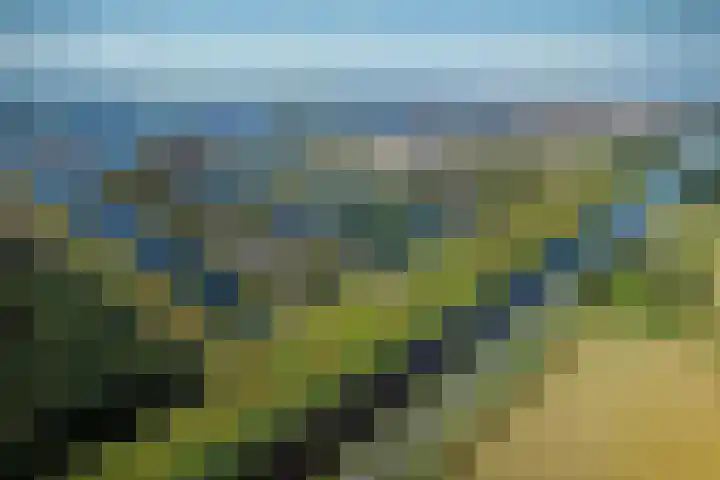 Vossenburglaan 8 Meerstad thumbnail 7