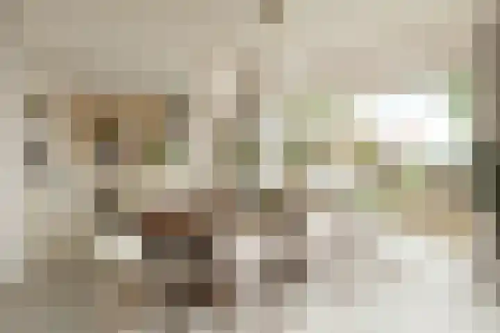Vossenburglaan 8 Meerstad thumbnail 9