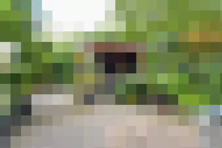Vossendal 55 Zeewolde thumbnail 36