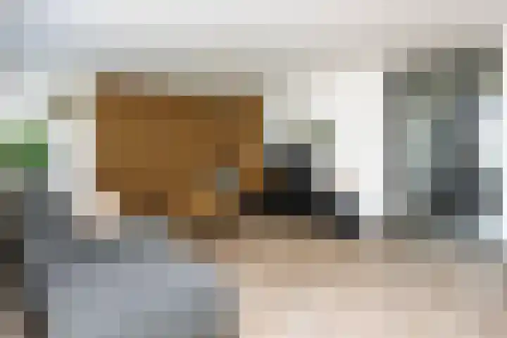 Vossendal 55 Zeewolde thumbnail 8