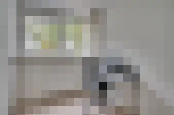 Vossenerlaan 36 Venlo thumbnail 20