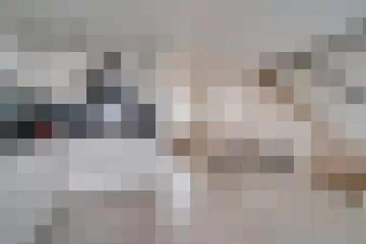 Vossenerlaan 36 Venlo thumbnail 7