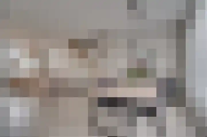 Vossenerlaan 36 Venlo thumbnail 8
