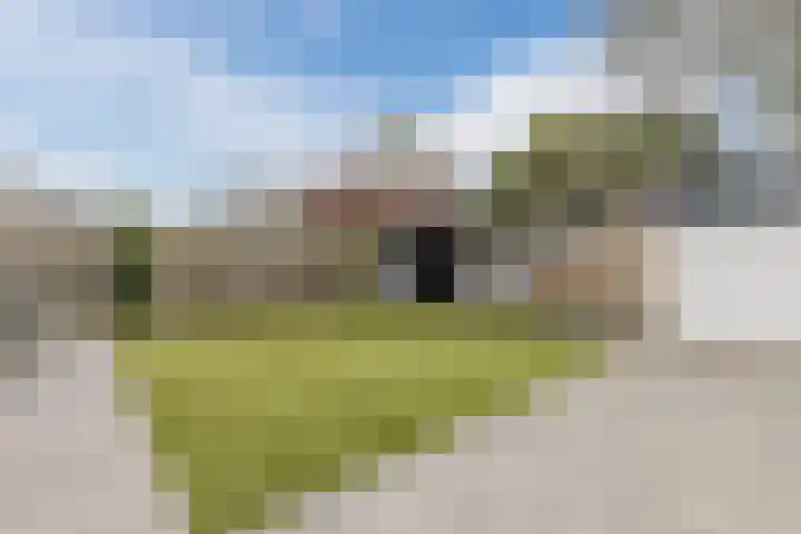 Vossenheuvel 3 De Mortel thumbnail 42