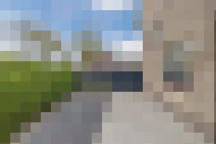 Vossenheuvel 3 De Mortel thumbnail 48