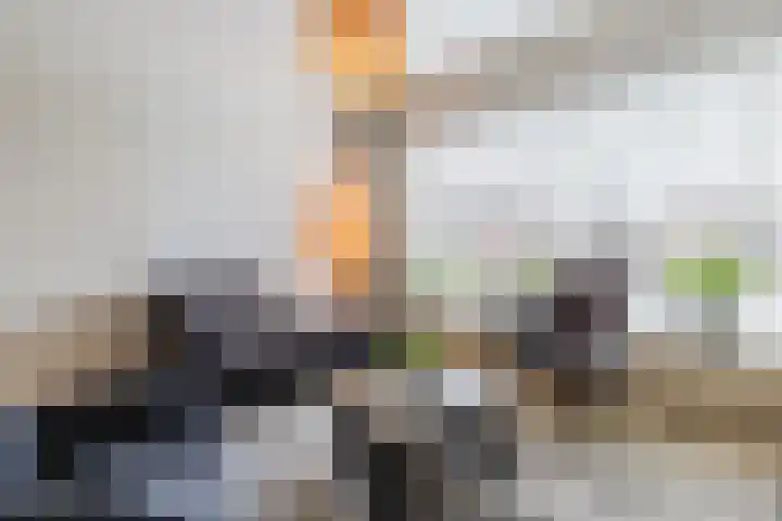 Vossenheuvel 3 De Mortel thumbnail 9