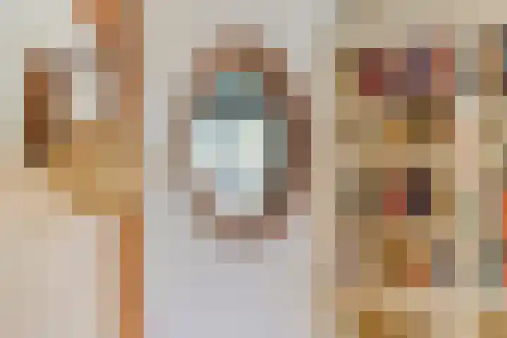 Vossenhol 20 Bemmel thumbnail 14