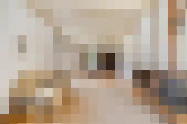Vossenhol 20 Bemmel thumbnail 16