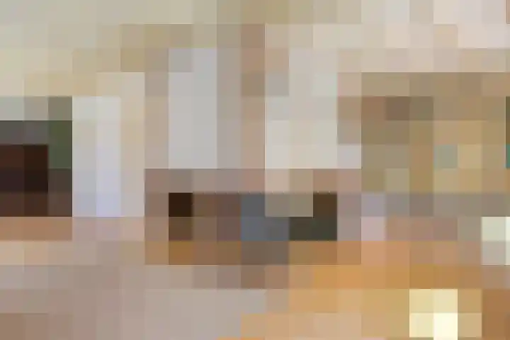 Vossenhol 20 Bemmel thumbnail 17