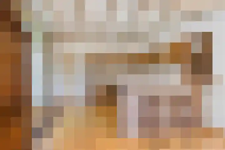Vossenhol 20 Bemmel thumbnail 21