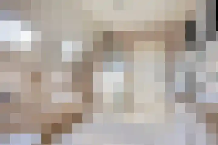 Vossenhol 20 Bemmel thumbnail 26
