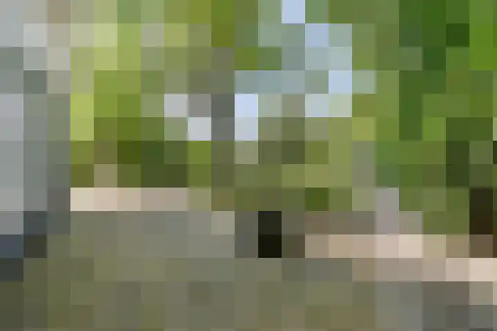 Vossenhol 20 Bemmel thumbnail 34