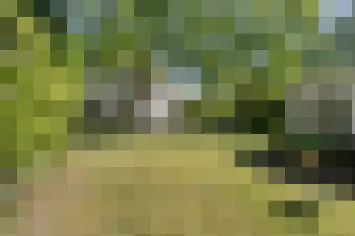 Vossenhol 20 Bemmel thumbnail 38