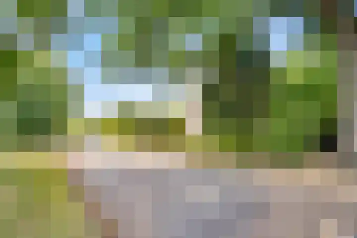 Vossenhol 20 Bemmel thumbnail 4