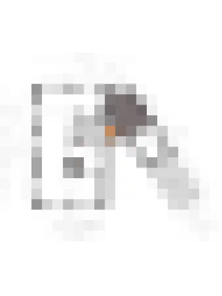 Vossenhol 20 Bemmel thumbnail 43