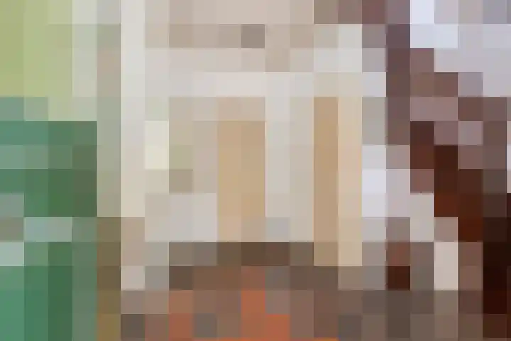 Vossenhol 20 Bemmel thumbnail 7